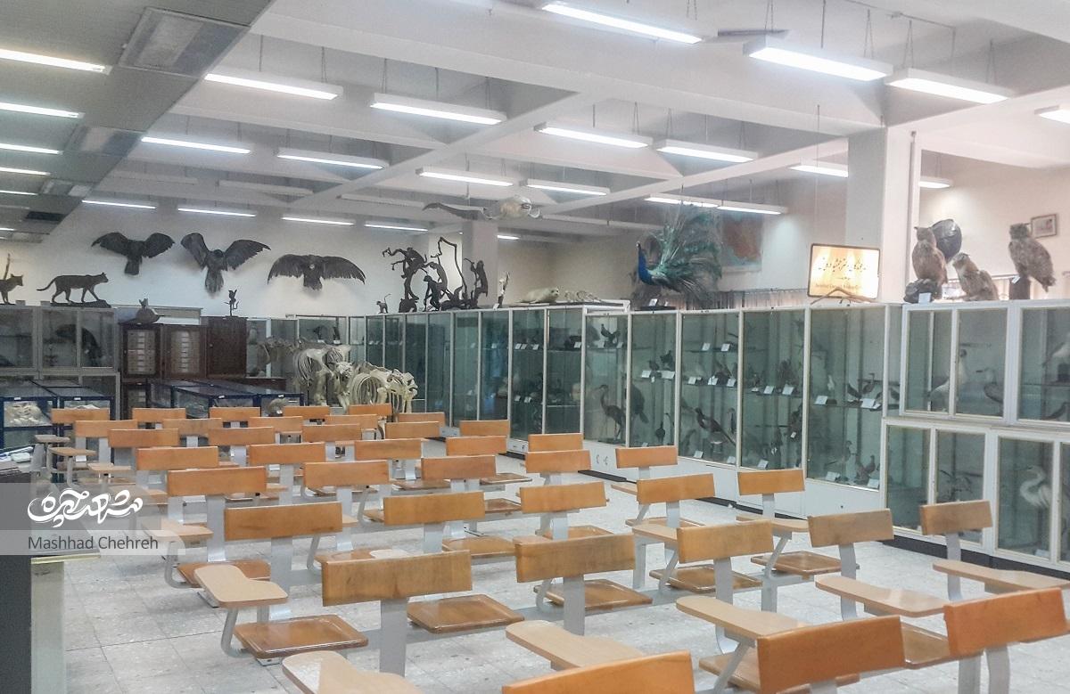 نگاهی به زندگی دکتر «جمشید درویش»، که او را به عنوان پدر علم بیوسیستماتیک ایران می‌شناسند