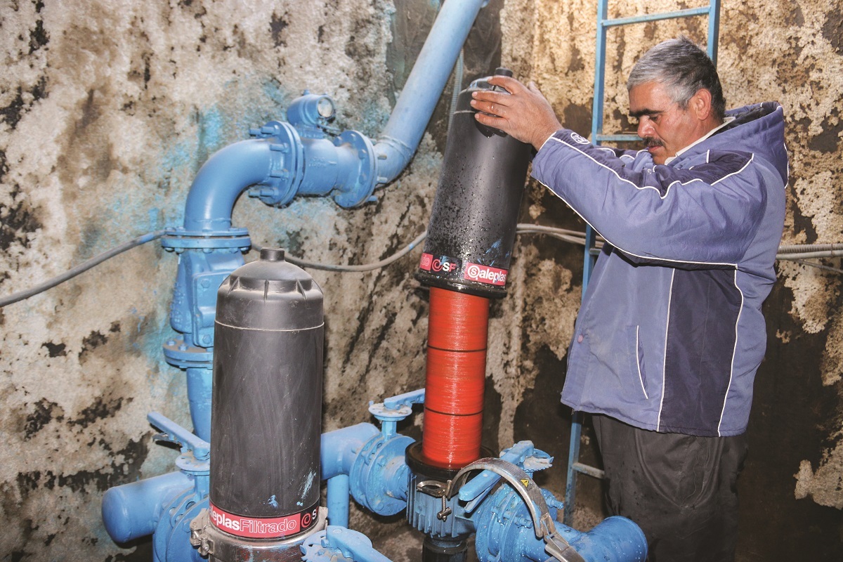 قهرمان دیروز، پهلوان امروز