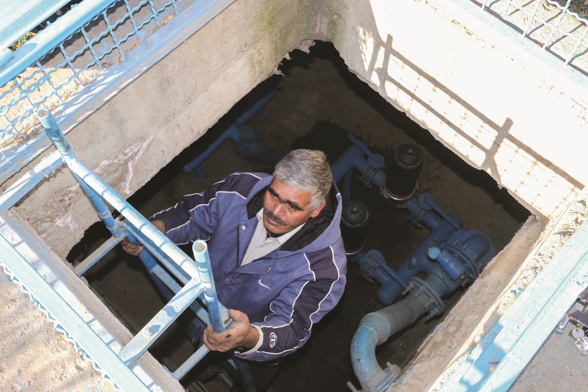 قهرمان دیروز، پهلوان امروز