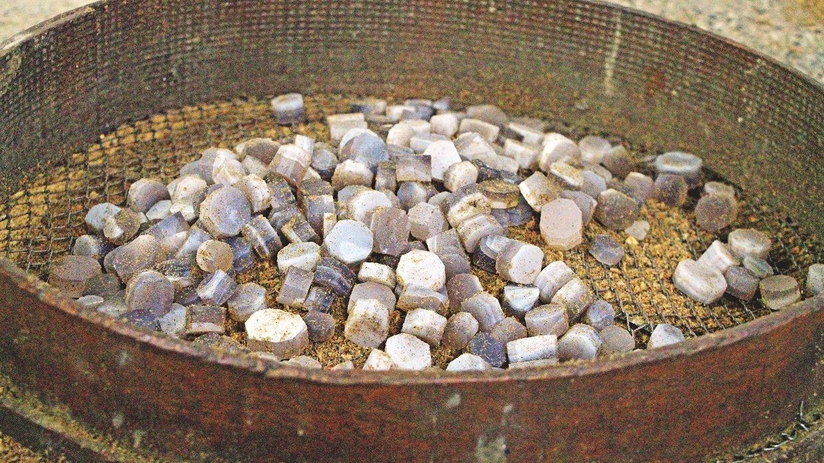 زندگی در دریایی از سنگ زندگی در دریایی از سنگ