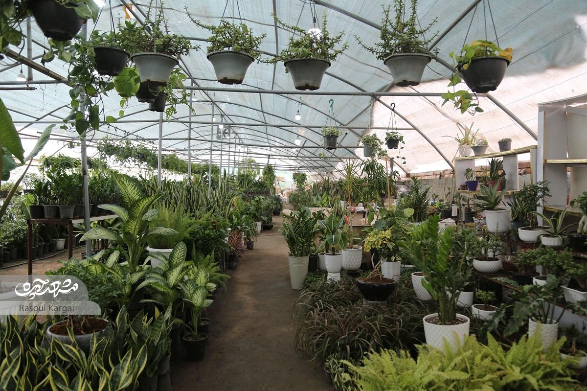 روایت زندگی متین دلاورپژوه از گوشهنشینی تا کارآفرینی روایت زندگی متین دلاورپژوه از گوشهنشینی تا کارآفرینی