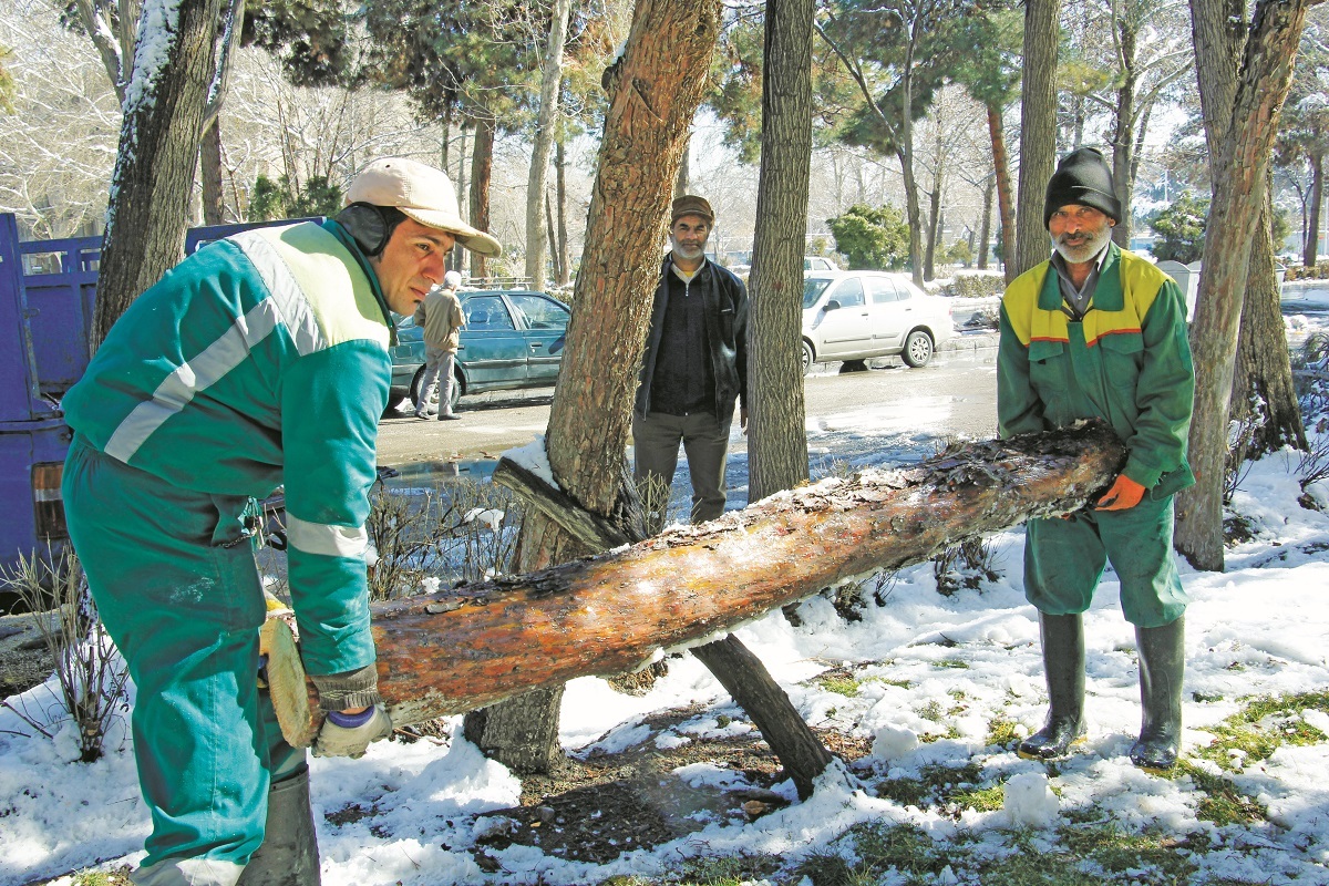 برفتکـانی برفتکـانی