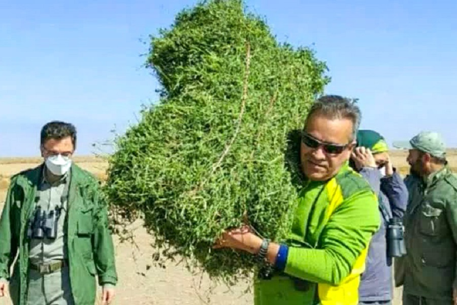 بابای «ارس» چشم حیات وحش خراسان بابای «ارس» چشم حیات وحش خراسان