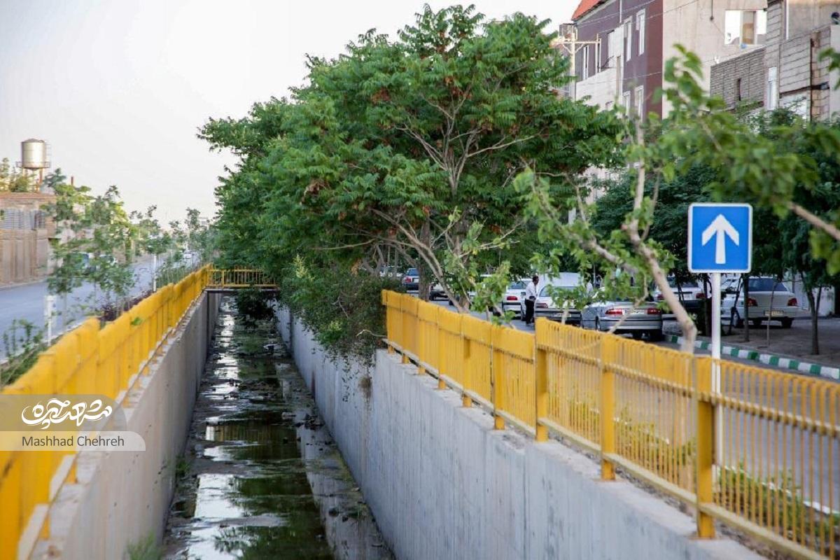 ایثارگران؛ محله آبی و پرگردشگر قاسم‌آباد