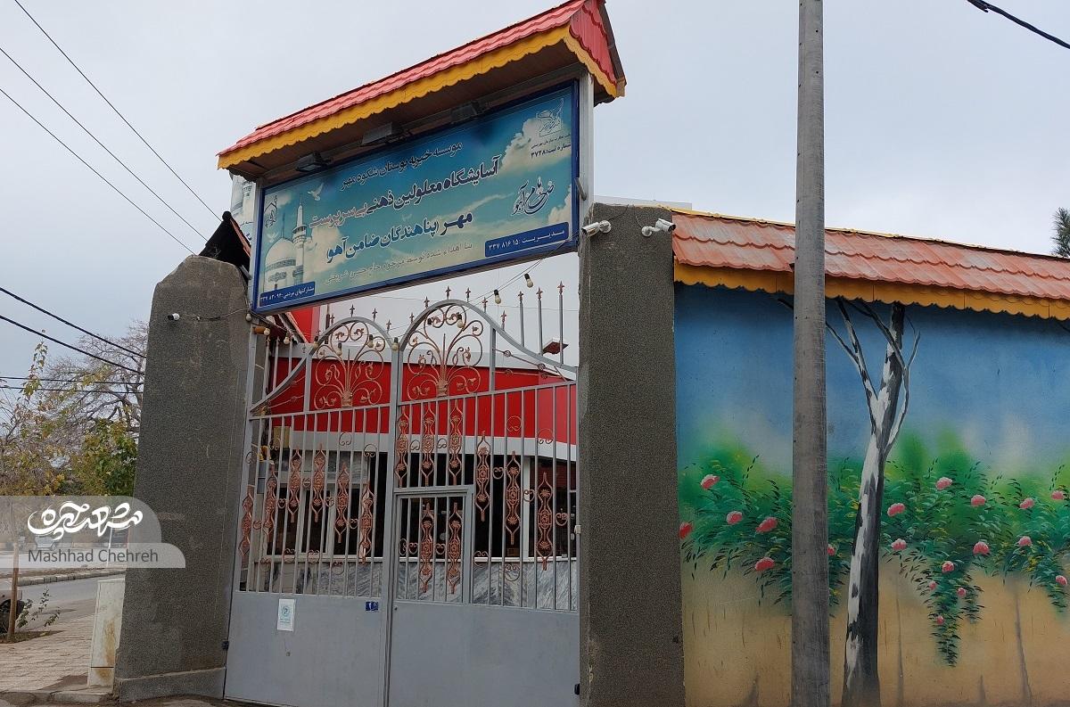 کوچه «پناهندگان ضامن آهو» کوچه «پناهندگان ضامن آهو»