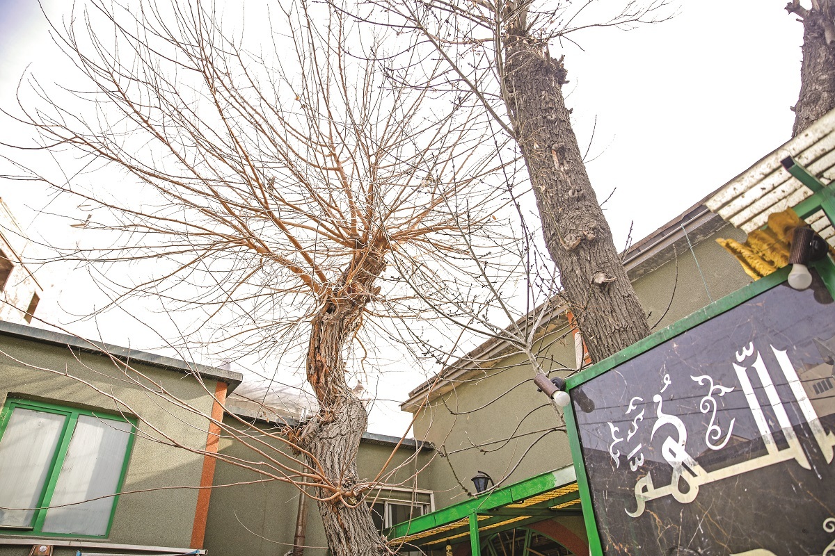 میـراث ماندگار غلامعلیخـان و میـرزا نصرالله میـراث ماندگار غلامعلیخـان و میـرزا نصرالله