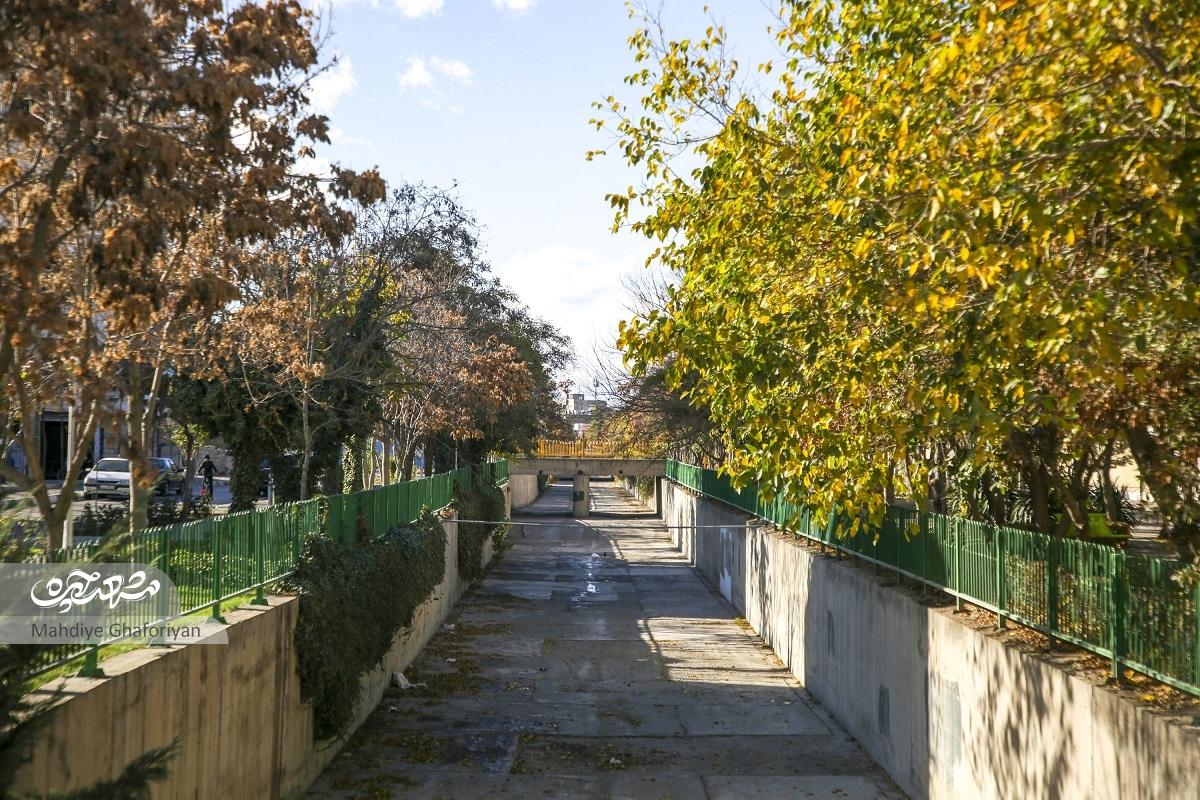 معبری برای کتابخوانهای محله رازی معبری برای کتابخوانهای محله رازی