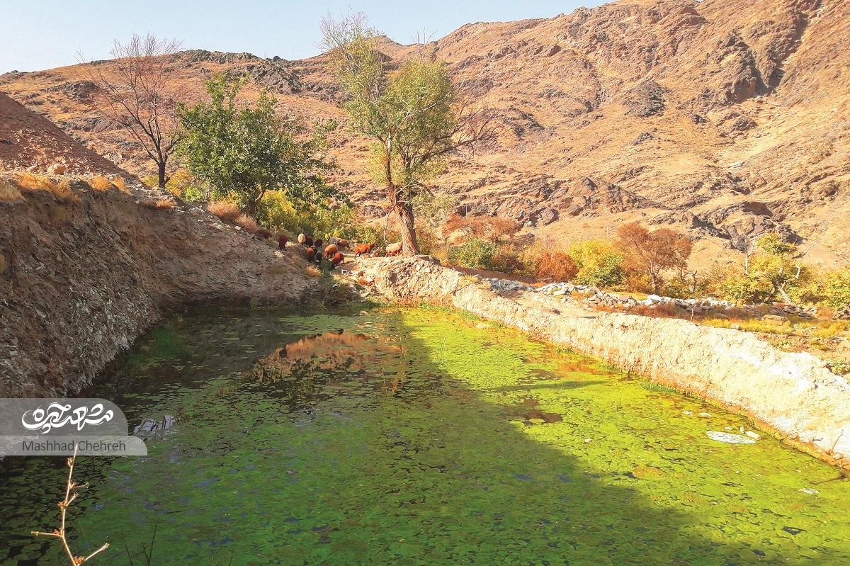 روستای خاله زهرا روستای خاله زهرا