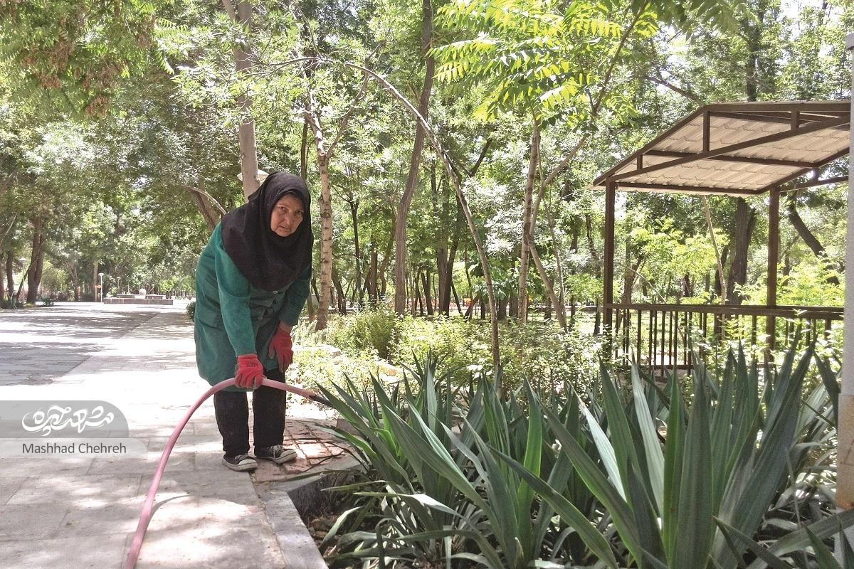 زنان سبز بوستان