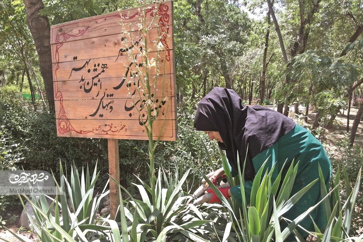 زنان سبز بوستان