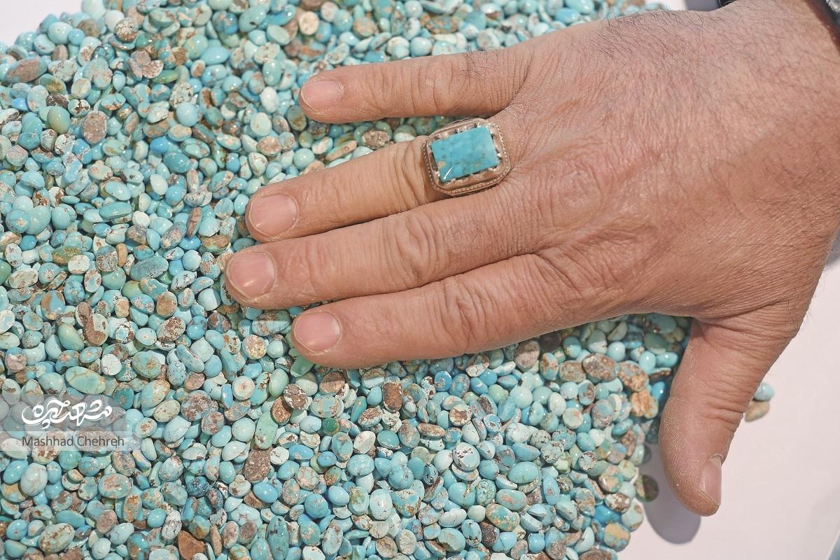 فیروزه تراشان هفده شهریور فیروزه تراشان هفده شهریور