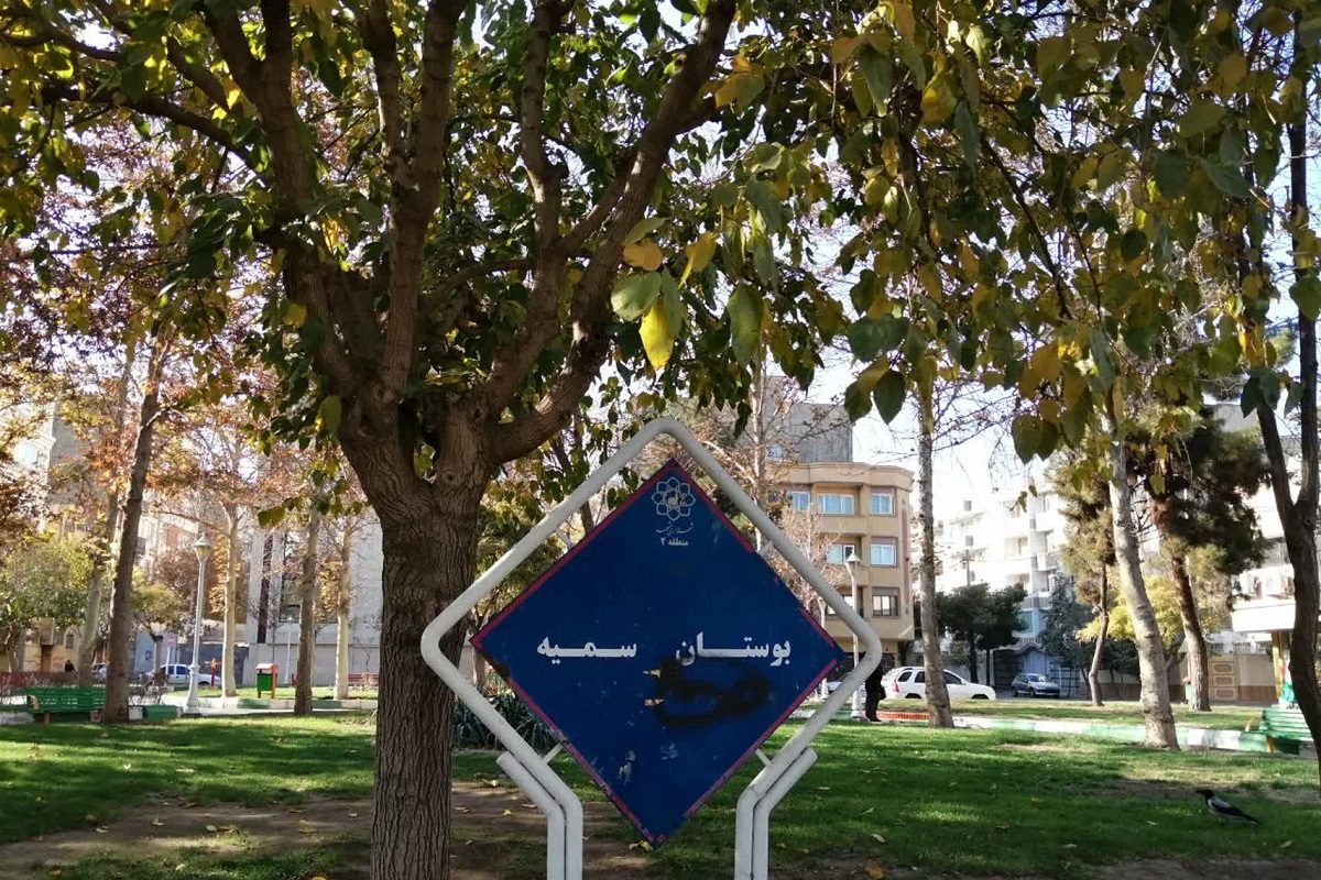 شور زندگی در خیابان سمیه