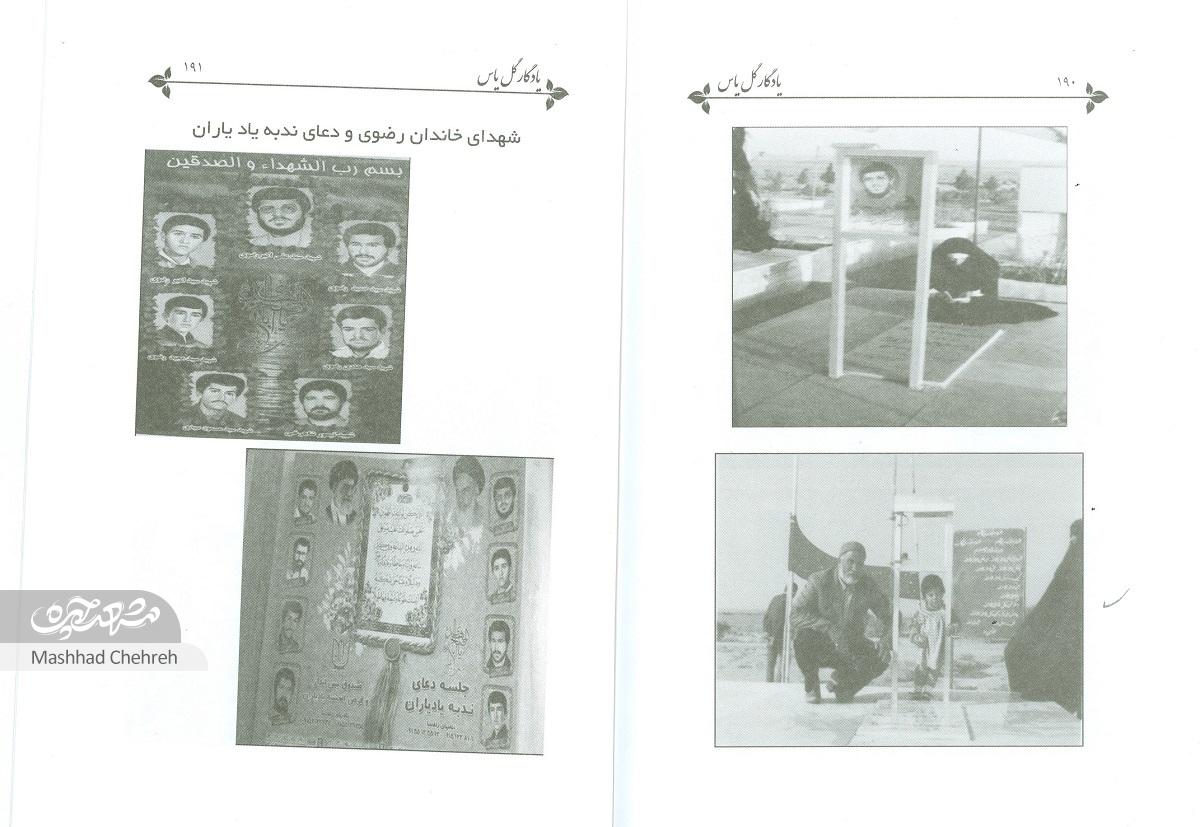 زندگی عاشقانه نیره آل سیدان و شهید علی اکبر رضوی در میان مبارزات انقلابی آغاز می‌شود