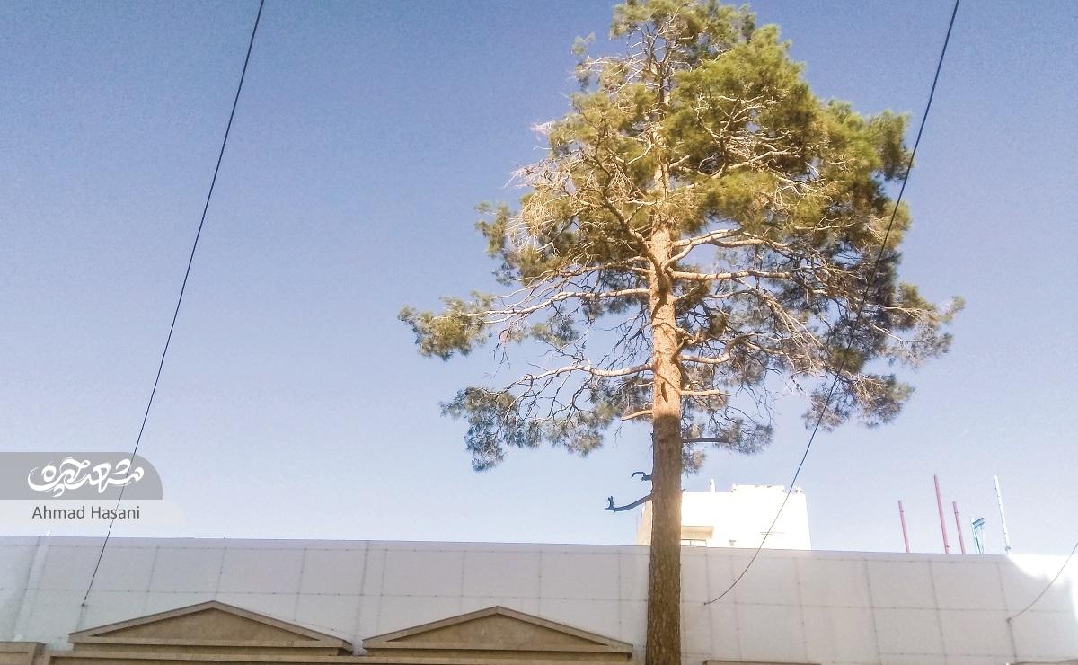 روایت رضائیه،  حکایت  خشتمالها روایت رضائیه،  حکایت  خشتمالها