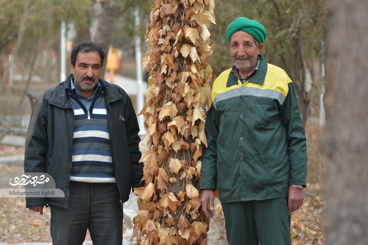 باغ وکیلآباد، باقیات و صالحات حاج حسین آقا ملک باغ وکیلآباد، باقیات و صالحات حاج حسین آقا ملک