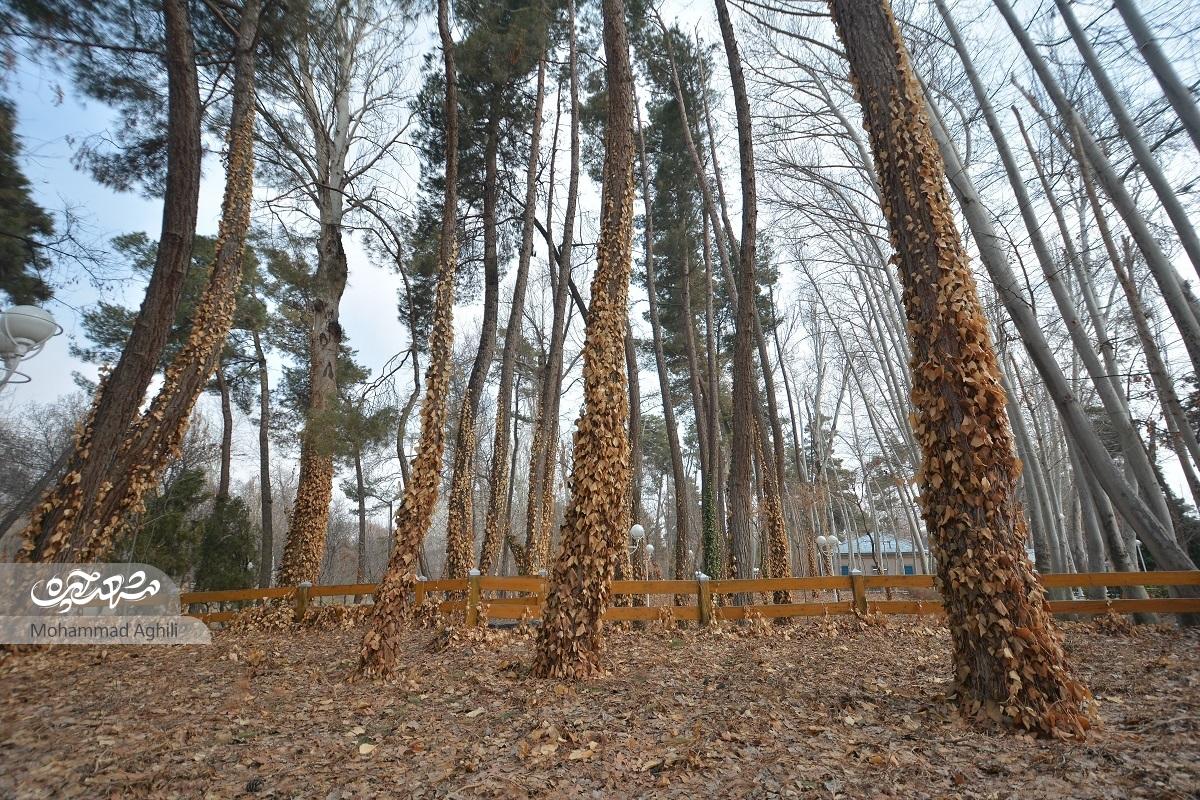 باغ وکیلآباد، باقیات و صالحات حاج حسین آقا ملک باغ وکیلآباد، باقیات و صالحات حاج حسین آقا ملک