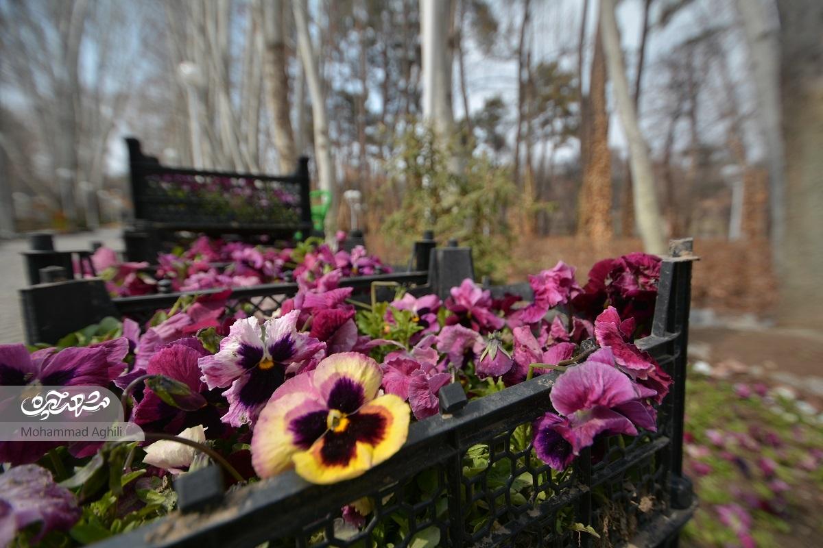 باغ وکیلآباد، باقیات و صالحات حاج حسین آقا ملک باغ وکیلآباد، باقیات و صالحات حاج حسین آقا ملک