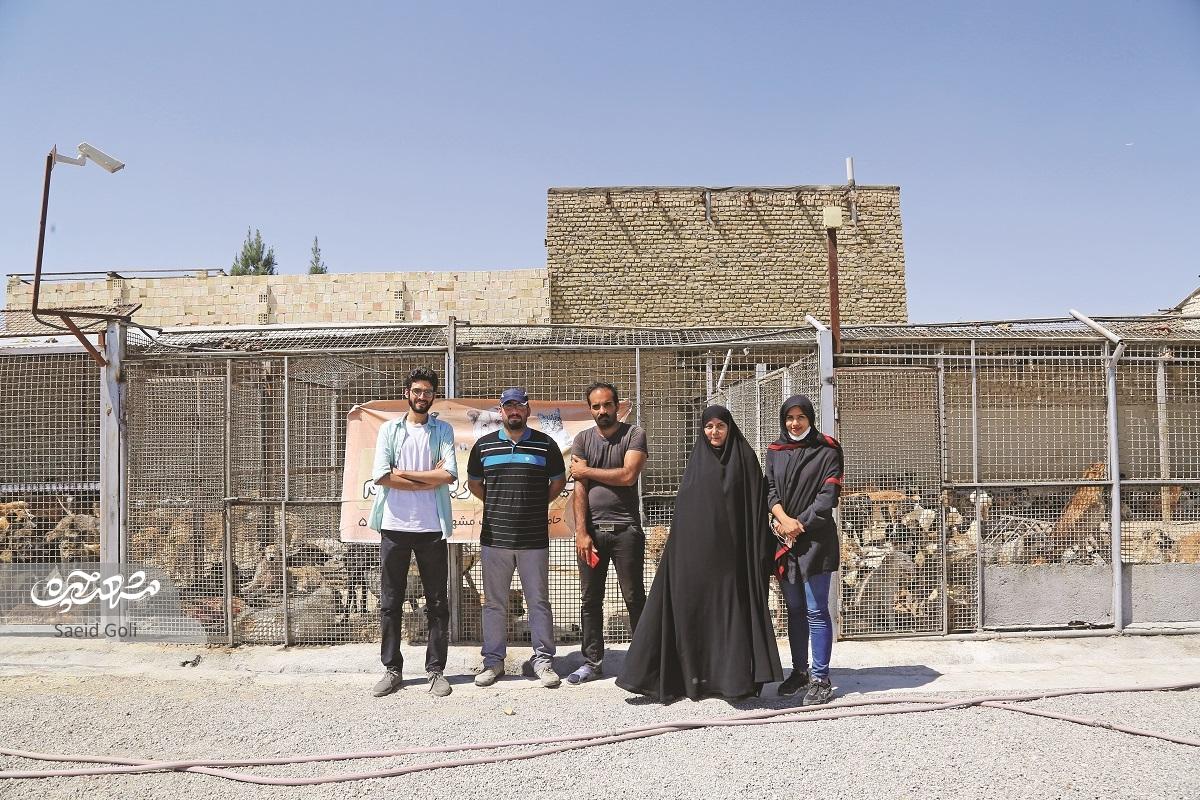 تلاش برای پایان سک کشی در مشهد