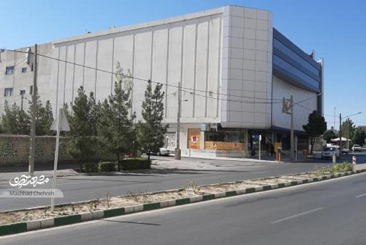 امامیه؛ پربوستان‌ترین محله قاسم‌آباد