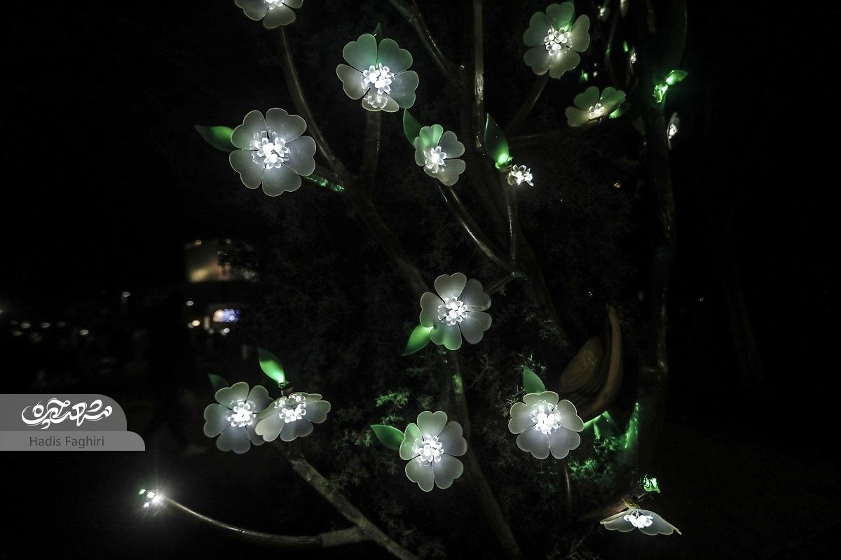جشن نور و معرفت در بوستان کوهسنگی جشن نور و معرفت در بوستان کوهسنگی