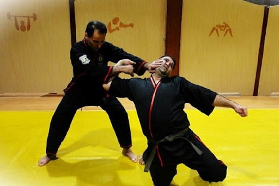 مهدی شاهی بنیانگذار سبک جهانی آیرون‌فایتر و افسر بازنشسته پلیس است.