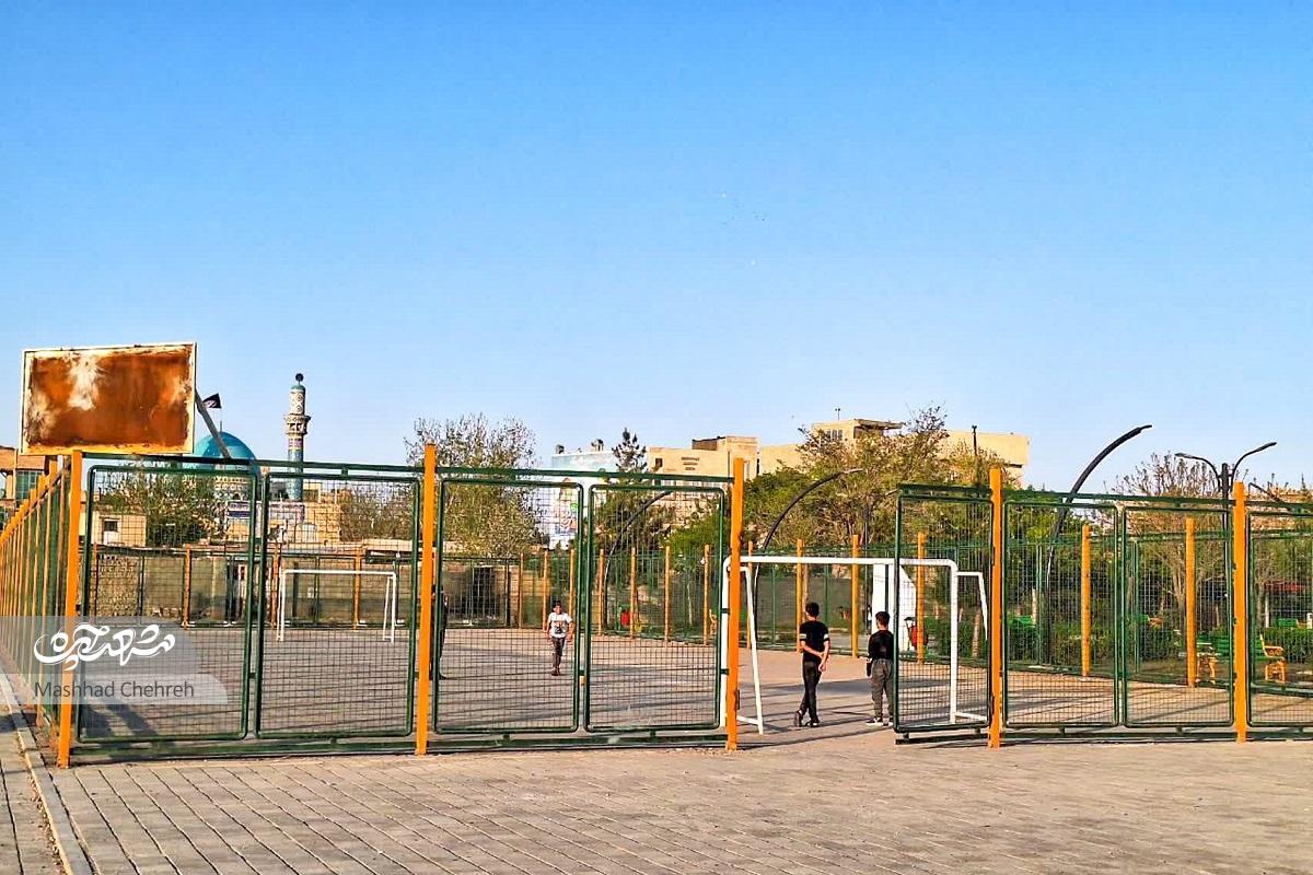 درختان توت محبوب اهالی