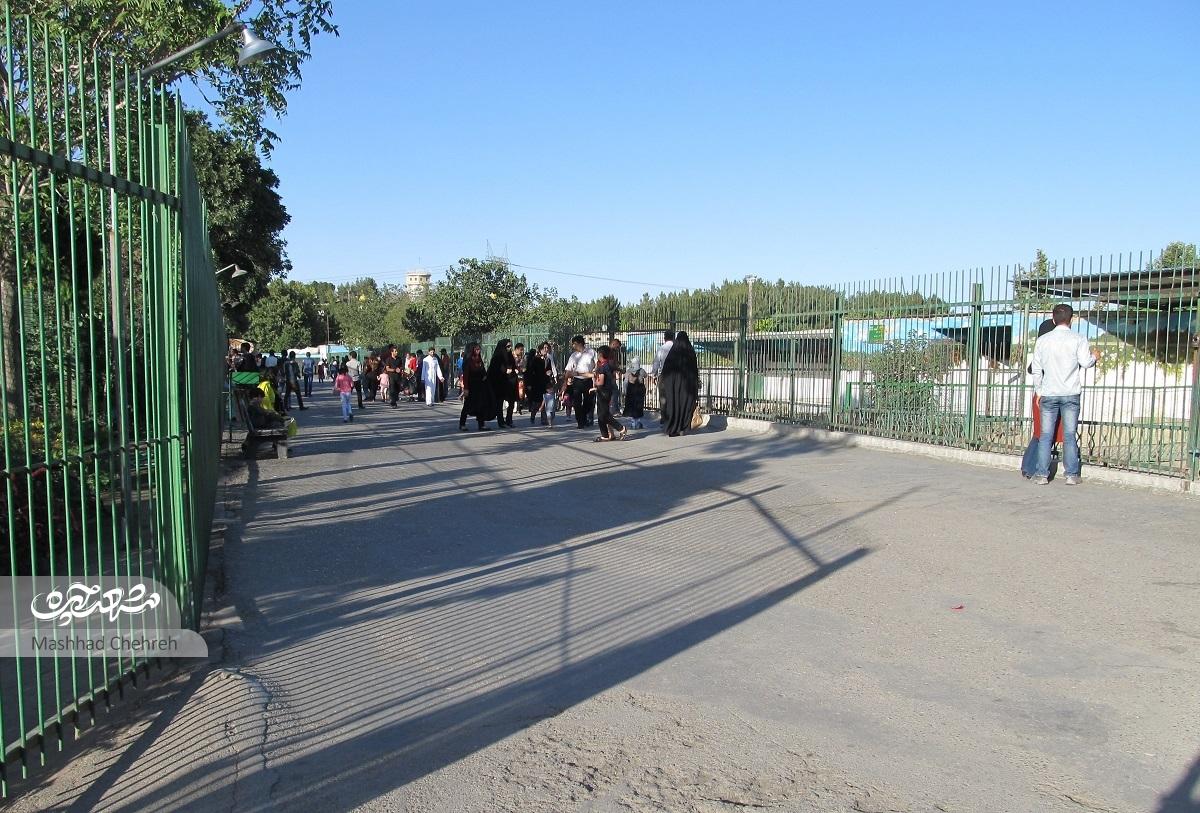 کمبودهــا در تنها باغوحش مشهـد خودنمایی میکنند کمبودهــا در تنها باغوحش مشهـد خودنمایی میکنند