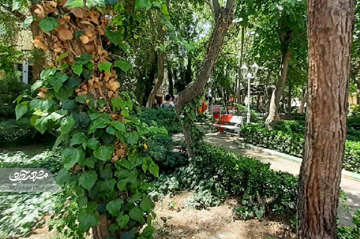 کوچه مدرسه‌ها در زکریای ۸