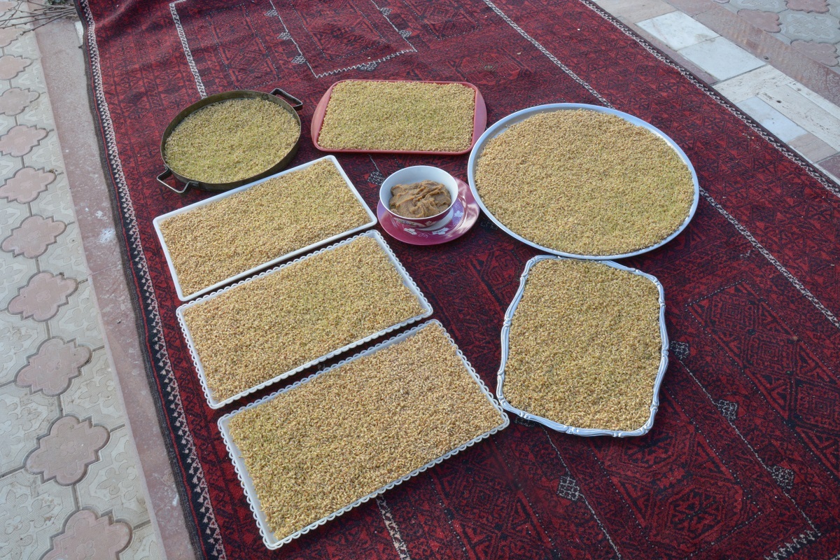 ۱۵ سال است که بساط سمنوپزان عید در خانه زهرا خانم گرم است