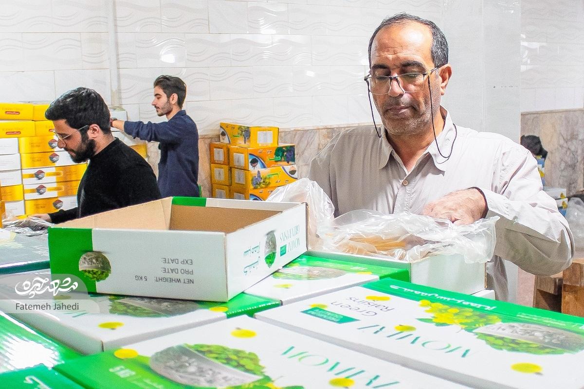 محمد اویسی پس از رها کردن پزشکی کارآفرین شد