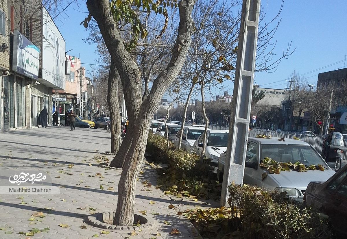 «سیدرضا» تاریخ زنده محله طلاب است «سیدرضا» تاریخ زنده محله طلاب است