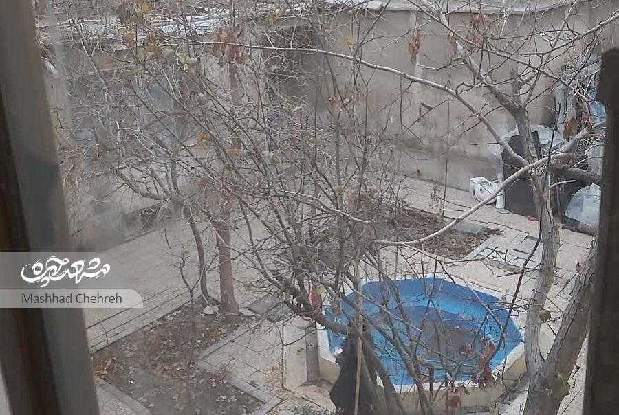 عمارت تاریخی «شکیبا» از نخستین خانه‌های کوچه جوادیه است