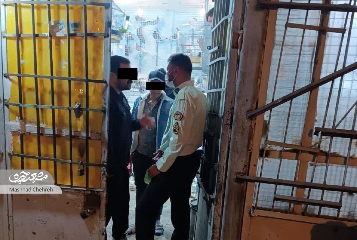 پرونده پرنده فروشیهای محله رده بسته شد پرونده پرنده فروشیهای محله رده بسته شد