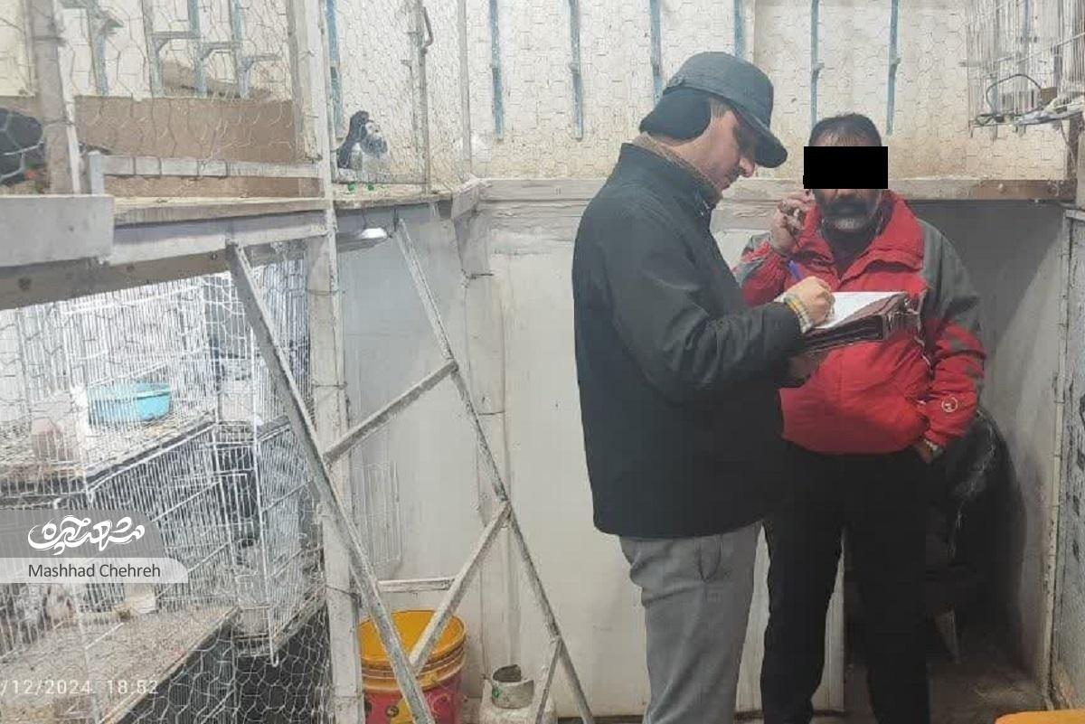 پرونده پرنده فروشیهای محله رده بسته شد پرونده پرنده فروشیهای محله رده بسته شد