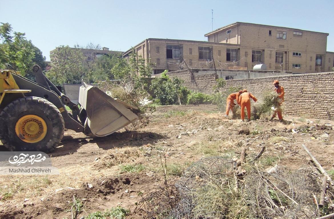 خدمت به مسافران دیار ایستادگی و شجاعت خدمت به مسافران دیار ایستادگی و شجاعت