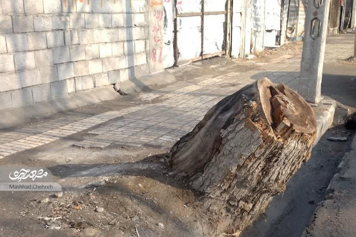 معبری قدیمی در مسیر تغییر محله حسینباشی معبری قدیمی در مسیر تغییر محله حسینباشی