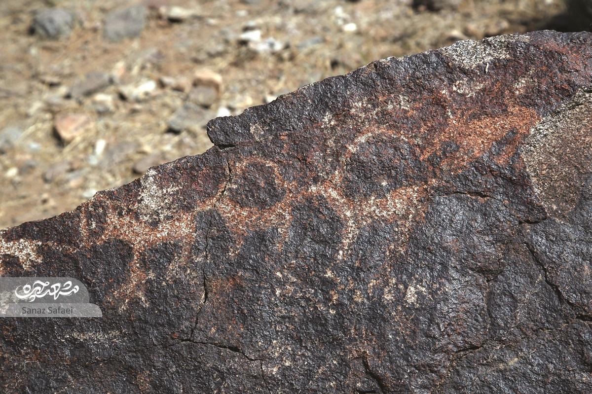 پارک ملی راه نجات سنگنگارههای چندهزارساله پارک ملی راه نجات سنگنگارههای چندهزارساله