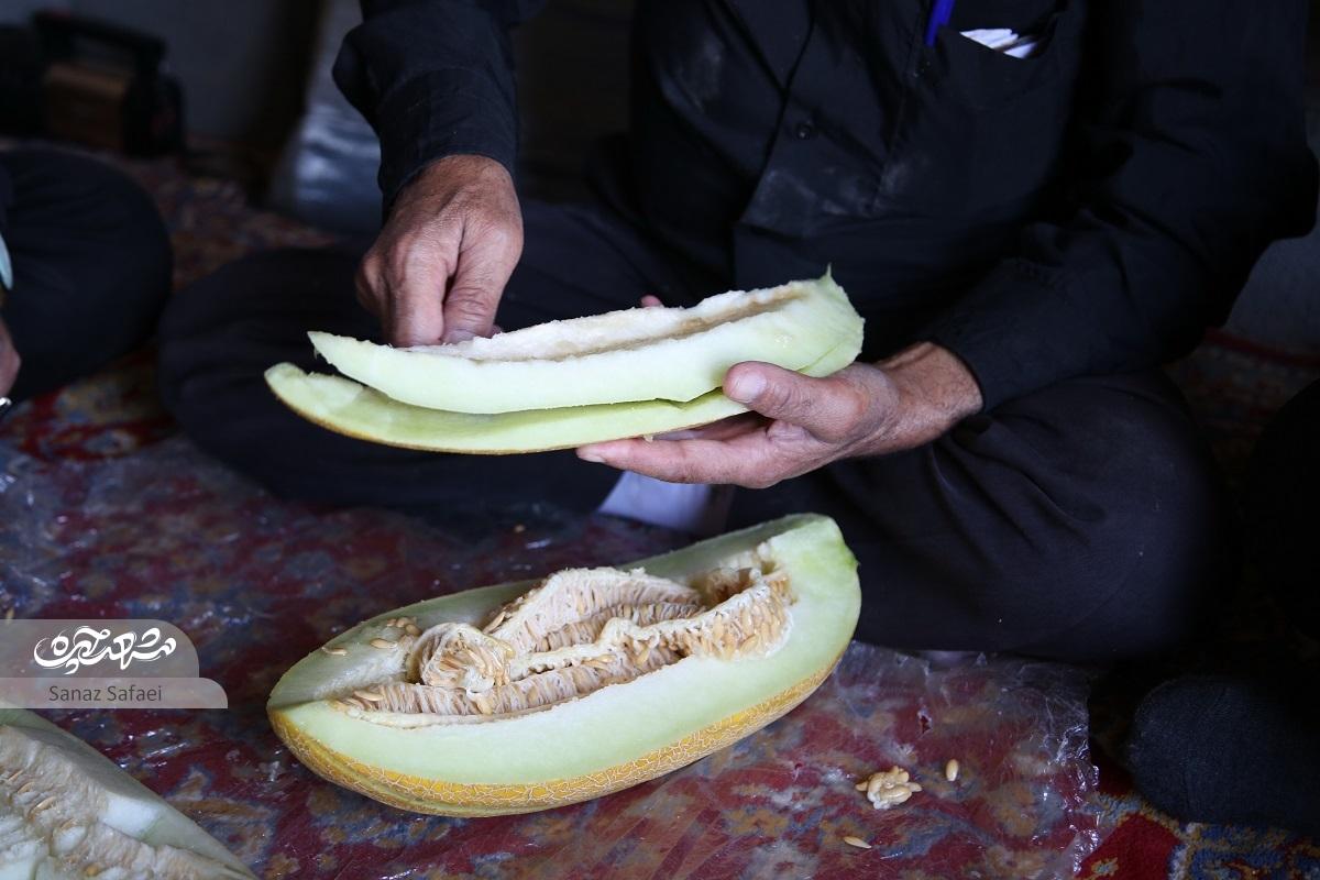 گردشگری روی پوست خربزه