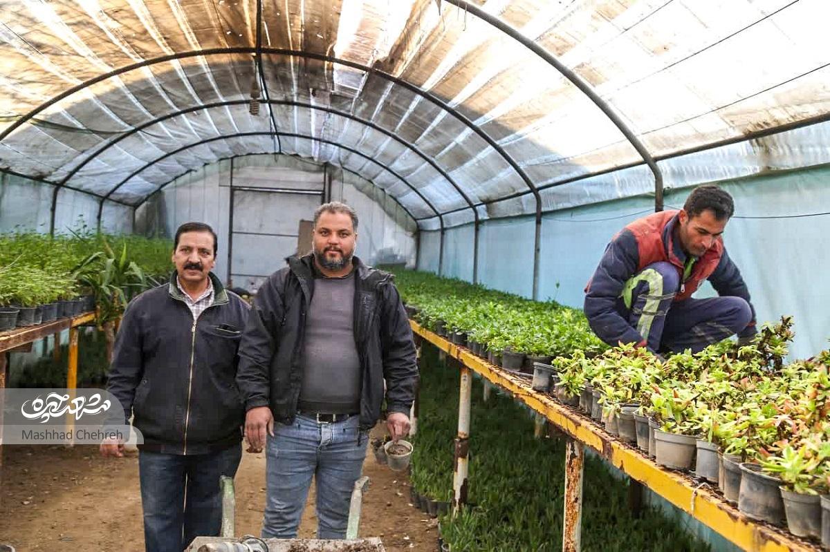 علی محمدپور عمرش را صرف سبز کردن منطقه ثامن کرده است