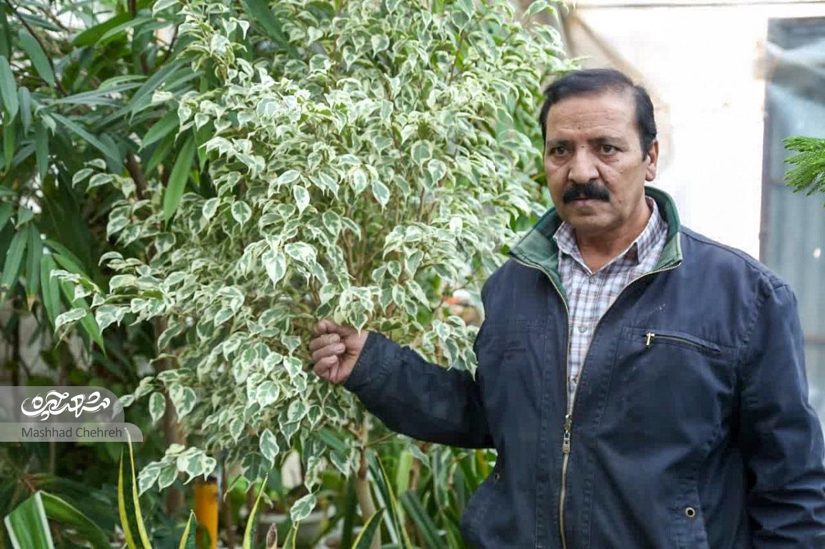 علی محمدپور عمرش را صرف سبز کردن منطقه ثامن کرده است