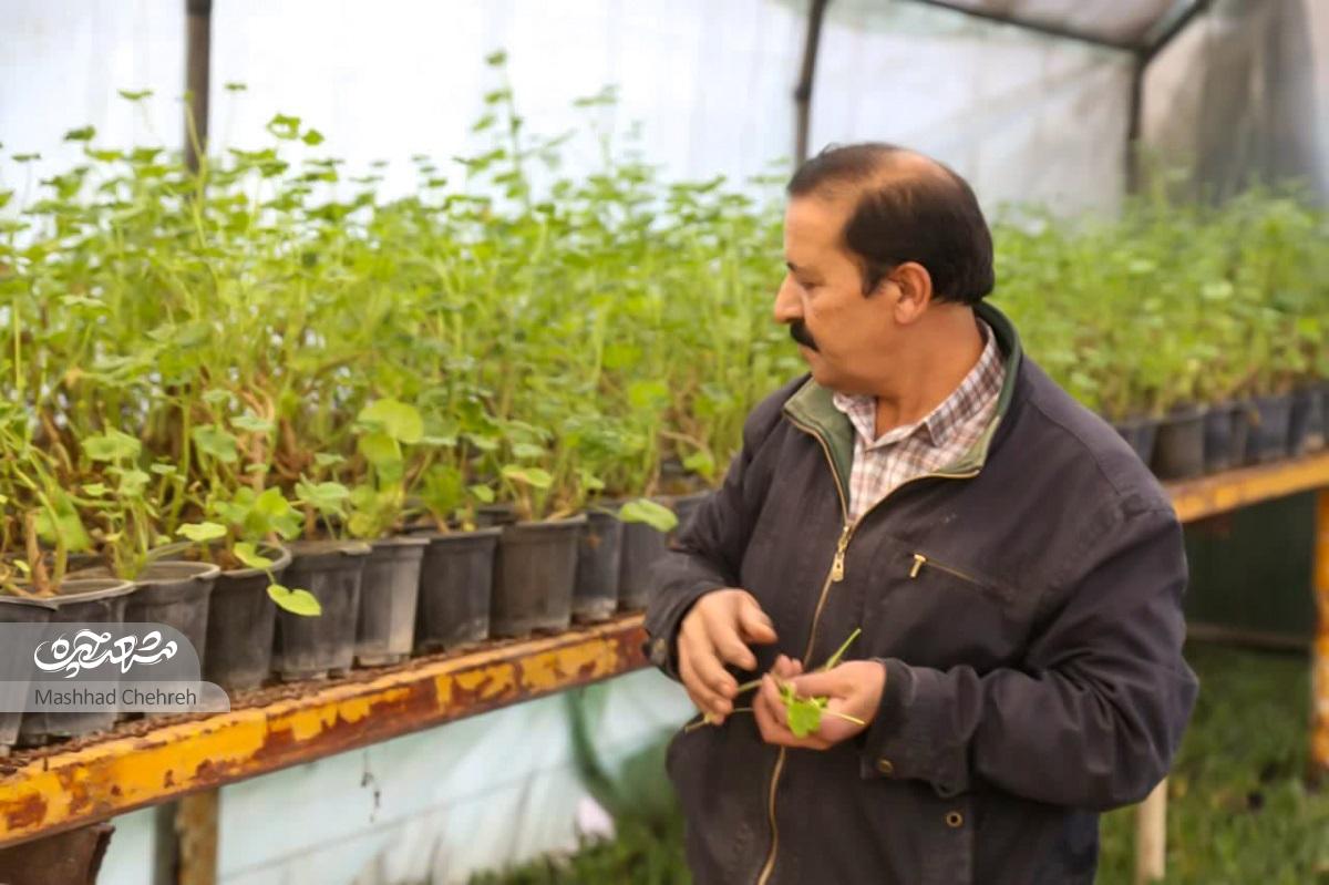 علی محمدپور عمرش را صرف سبز کردن منطقه ثامن کرده است