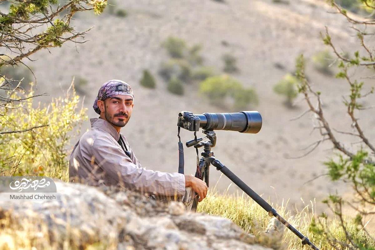 امین موسوی شکارچی‌ای که عکاس حرفه‌ای حیات‌وحش شد