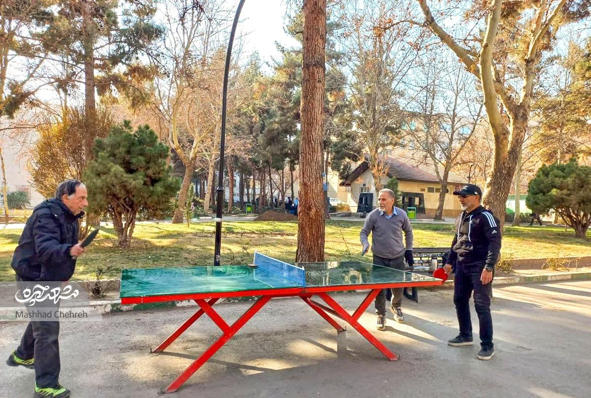 میزهای تنیس روی میز پارک لاله، یک پاتوق محلی شده است میزهای تنیس روی میز پارک لاله، یک پاتوق محلی شده است