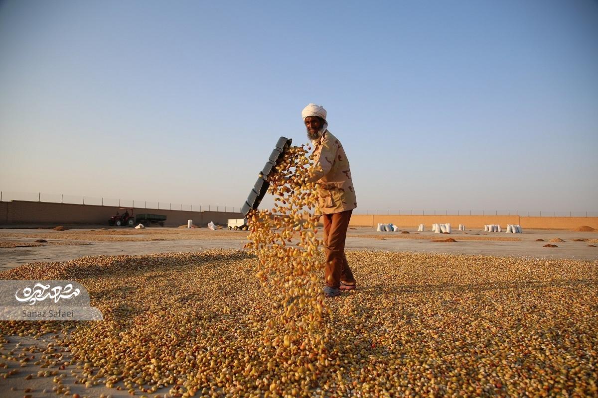 گردشگری سر بسته پسته در خراسان