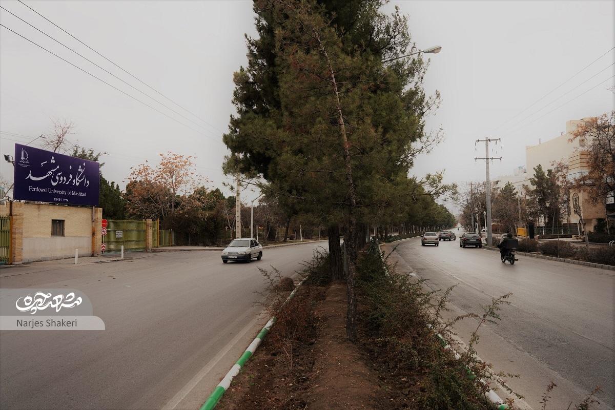 باهنر؛ دانشگاهیترین محله مشهد باهنر؛ دانشگاهیترین محله مشهد