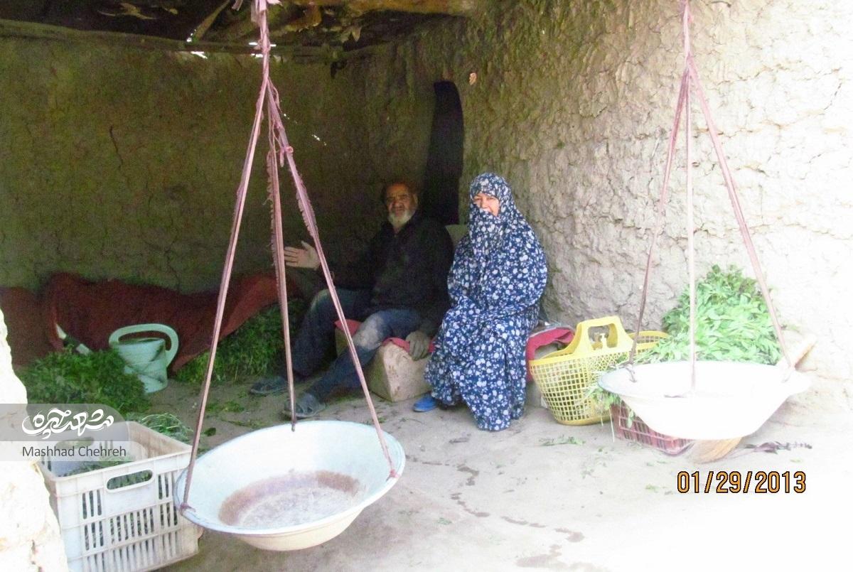 حاج‌رضای سبزی‌کار، واقف تنها مسجد محله تلگرد است