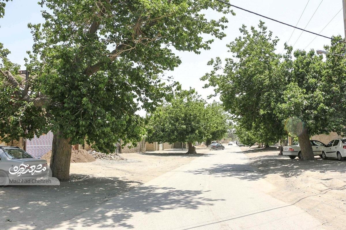 محله کلاتهبرفی؛ همسایگی وحدتآفرین شیعه و سنی محله کلاتهبرفی؛ همسایگی وحدتآفرین شیعه و سنی