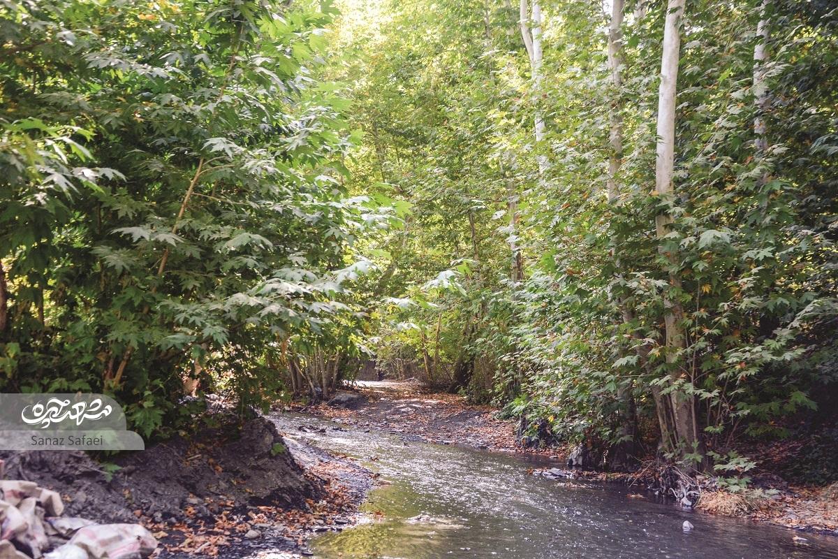 «ابرده» در آوردگاه طبیعت «ابرده» در آوردگاه طبیعت