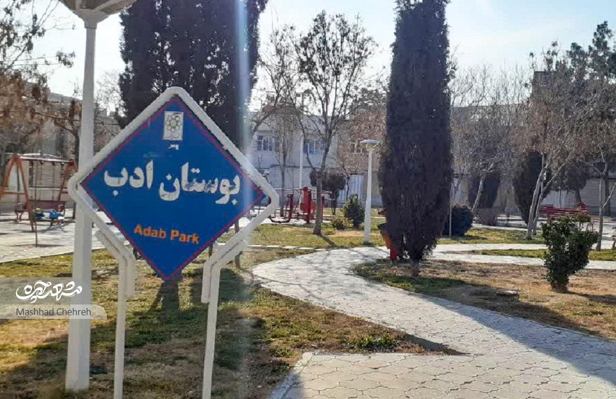 کوچه کتابخوانها در محله شاهد کوچه کتابخوانها در محله شاهد