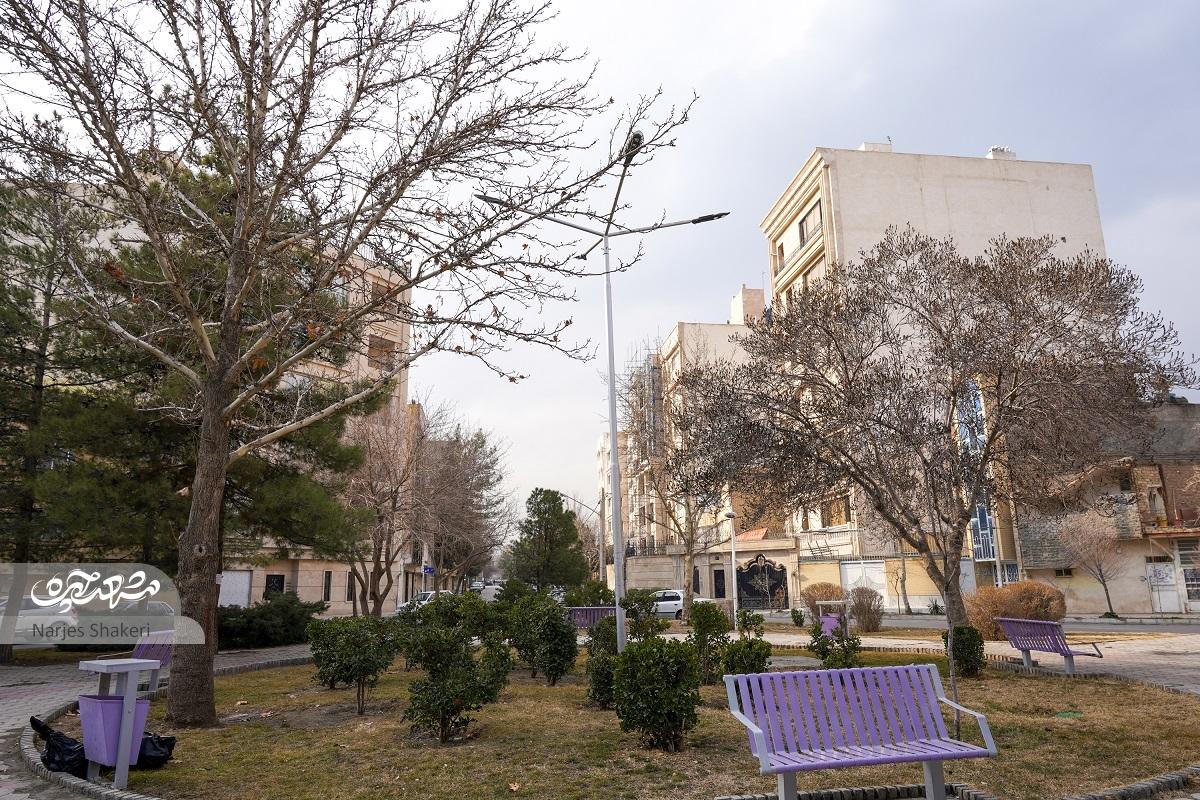 در حال و هوای فرهنگی کوچه شهید‌ابراهیم فخرایی ۳۳